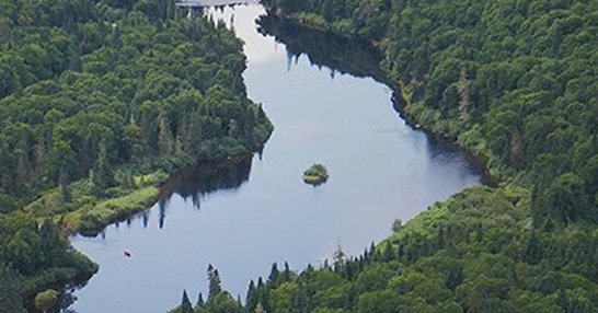 Amazon: The Heart of Mother Earth Amazon: The Heart of Mother Earth