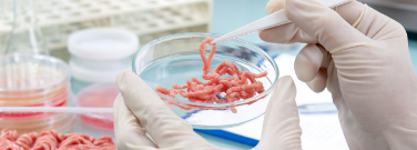 Meat grown in a Petri dish