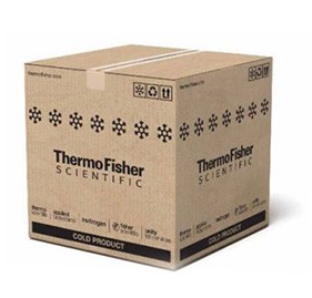 17532_boxes3 Paper Cooler