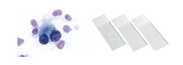 epredia-cytology-cat-1908 epredia-cytology-cat-1908