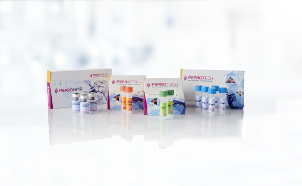 25242_Product_Showcase_Application_img_2 25242_Product_Showcase_Application_img_2