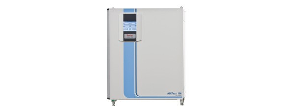 19212_Top_Category_General